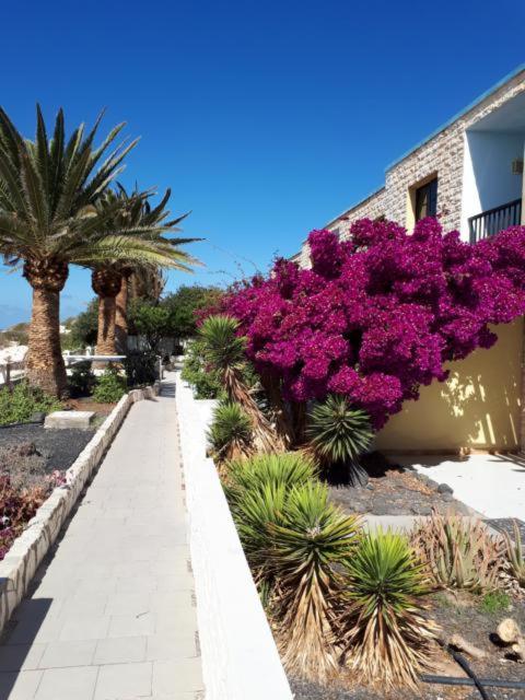 Maravilla Bungalows Cotillo Εξωτερικό φωτογραφία
